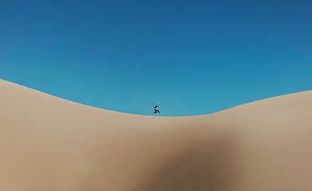 浅析，百度搜索大涨大跌的两极分化！
