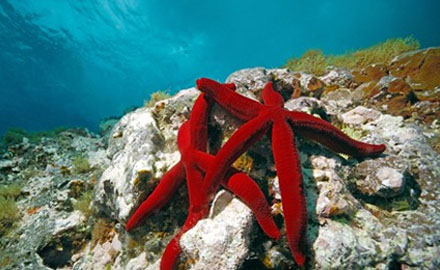 肃宁海外电商，不可不知的站外引流攻略~