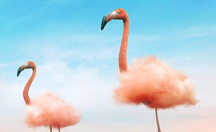 肃宁线上推广方式有哪些？常见的几种线上推广渠道方式