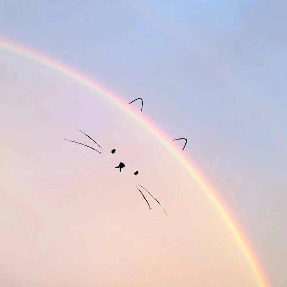 儋州做生意，为什么要多发朋友圈？