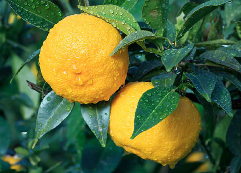 不起眼却能一个月加2万人的引流方法？