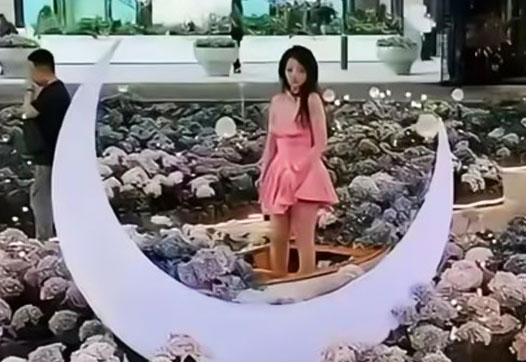 董医生的家底被扒了个底朝天，被称为京圈公主，却没想到当了小四