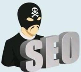 SEO快排服务：快速上首页的背后